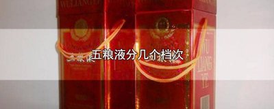 五粮液最好的是哪种 五粮液有哪几款