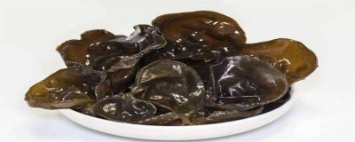 木耳的作用禁忌是什么 木耳的作用和禁忌