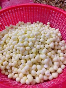 ​芡实是什么（芡实简单介绍）