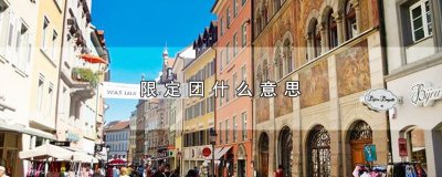 ​限定团什么意思，限定团的含义