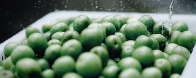 ​青梅露可以保存多久 青梅露能保存多久