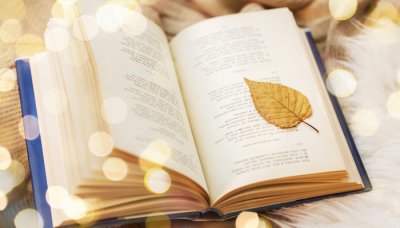 ​黄山归来不看岳是什么意思?