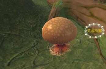 创造与魔法松露位置详解 创造与魔法松露在什么地方!