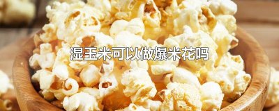 ​湿玉米可以做爆米花吗