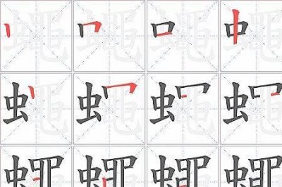 ​苍蝇的蝇怎么组词