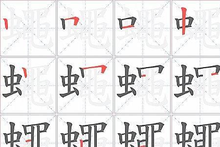 苍蝇的蝇怎么组词