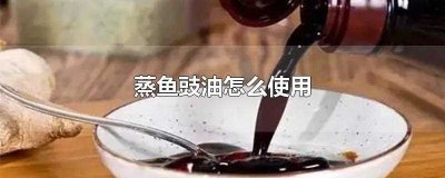 ​蒸鱼豉油怎么使用(蒸鱼豉油是用来做鱼的酱油)