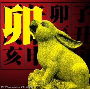 ​卯是什么生肖（卯排行第几位）