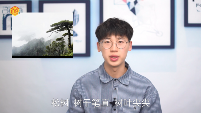 ​松柏和松树的区别