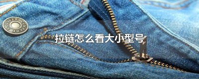 ​拉链怎么看大小型号