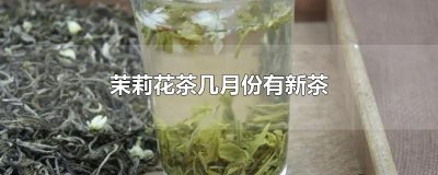 ​茉莉花茶几月份有新茶