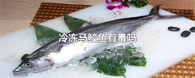 ​冷冻马鲛鱼有毒吗