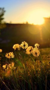 ​非公企业是什么意思（非公企业解释）