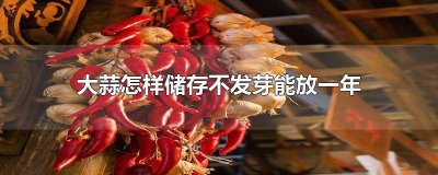 ​大蒜如何长期保存不发芽 大蒜可以保存多久不发芽