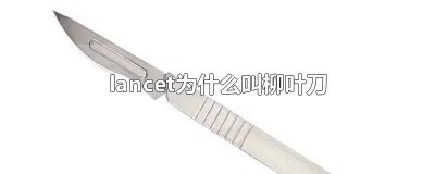 ​lancet为什么叫柳叶刀