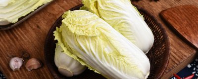 ​龙牙菜和白菜有什么区别