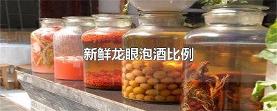 ​新鲜龙眼泡酒比例