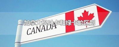 ​加拿大枫叶卡和绿卡的区别