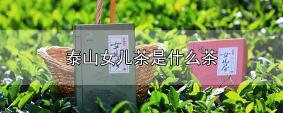 ​泰山女儿茶是什么茶