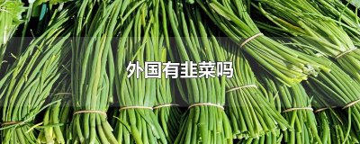​外国有韭菜吗