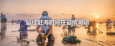 ​最佳赶海时间在最低潮吗