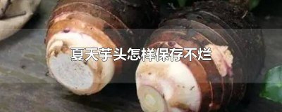 ​芋头怎么保存才不烂根 怎样保存芋头不烂