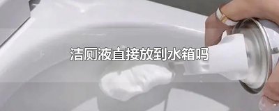 ​洁厕液直接放到水箱吗