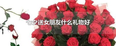 ​七夕送女朋友什么礼物好吃 七夕送女朋友什么礼物好搞笑