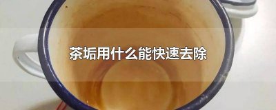 ​热水壶茶垢用什么能快速去除 玻璃杯茶垢用什么能快速去除