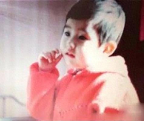 张翰个人资料简介及家世(张翰是哪里人)-