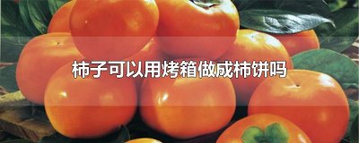 ​柿子可以用烤箱做成柿饼吗