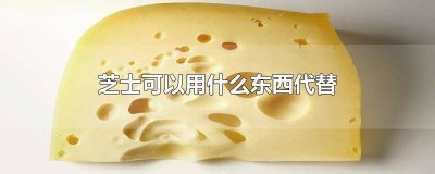 ​可以用什么代替芝士片 什么能代替芝士片