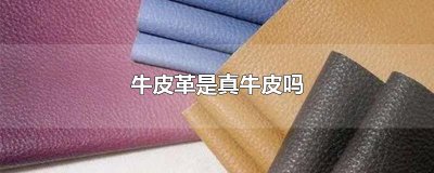 ​牛皮革是真牛皮吗