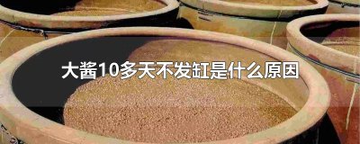 ​大酱10多天不发缸是什么原因