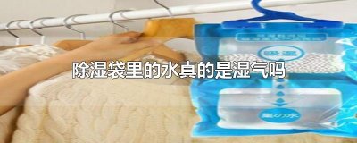 ​除湿袋里的水真的是湿气吗