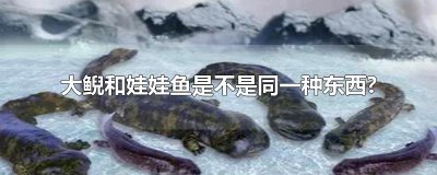 ​大鲵和娃娃鱼是不是同一种东西?
