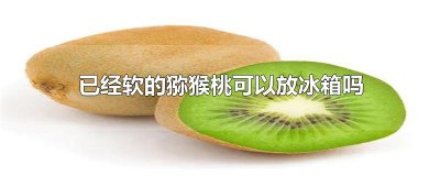 ​已经软的猕猴桃可以放冰箱吗