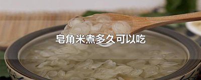 ​皂角米煮半小时可以吗 皂角米可以直接煮着吃吗