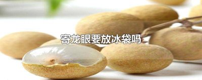 ​怎么寄龙眼不容易坏 寄龙眼怎么包装不会烂