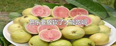 ​芭乐放软了是不是好吃 芭乐怎么能放软
