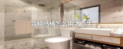 ​合租马桶怎么用才卫生