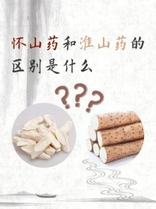 ​什么是山药（山药的介绍）