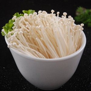 ​金针菇英文名（金针菇的英名是什么）