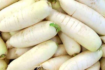 ​白萝卜产地哪里最好 3大产地全国闻名
