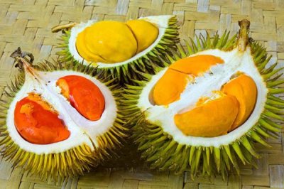 ​榴莲哪个品种最好吃 苏丹王vs红肉vs猫山王