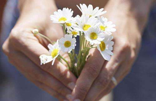 人和自然的关系,人与自然是什么关系图3