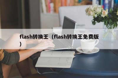 ​flash转换王（flash转换王免费版）