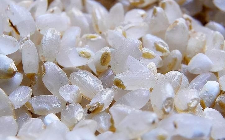 三色糙米是指哪三种米饭