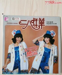 ​二八年华，二八年华,是什么意思？