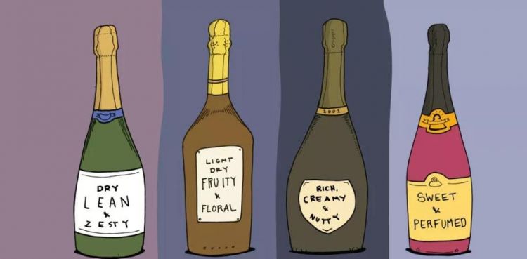 红酒分类基本知识